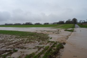 Site de Bourville