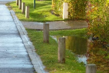 NOUE INFILTRATION MILIEU URBAIN