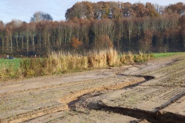 haie herbacée stoppant une ravine