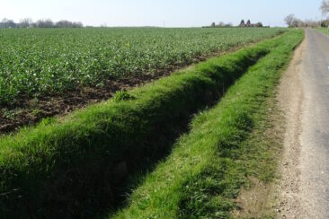 Fossé Drainage