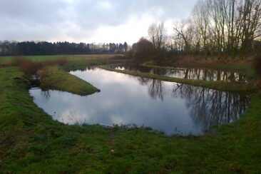 Photo0207